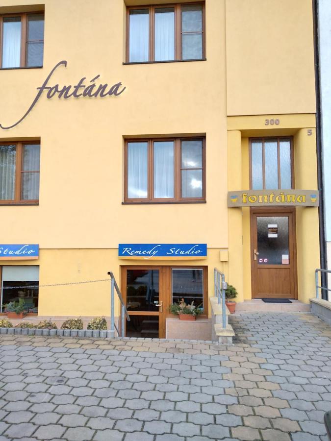 Pension Fontana Poděbrady Esterno foto
